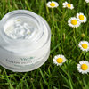 Tallow Honey Cream